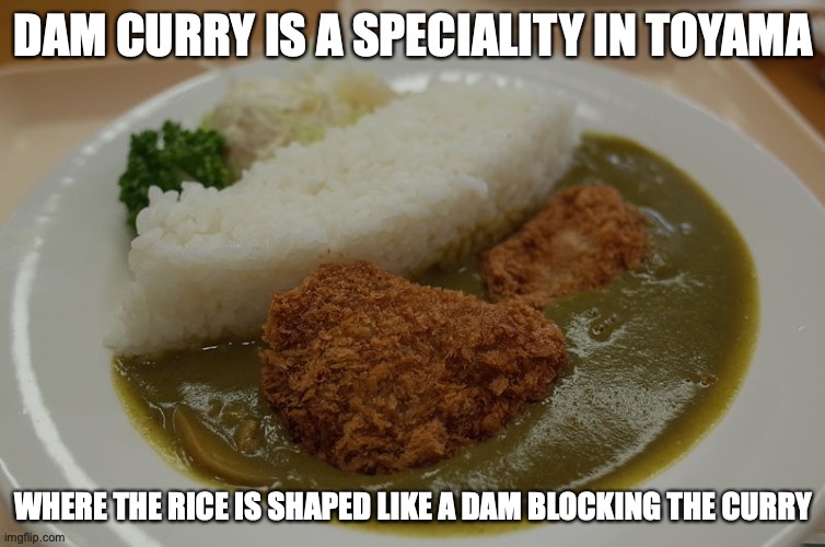 Dam Curry | DAM CURRY IS A SPECIALITY IN TOYAMA; WHERE THE RICE IS SHAPED LIKE A DAM BLOCKING THE CURRY | image tagged in curry,food,memes | made w/ Imgflip meme maker
