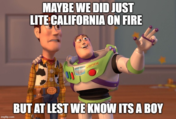 X, X Everywhere | MAYBE WE DID JUST LITE CALIFORNIA ON FIRE; BUT AT LEST WE KNOW ITS A BOY | image tagged in memes,x x everywhere | made w/ Imgflip meme maker