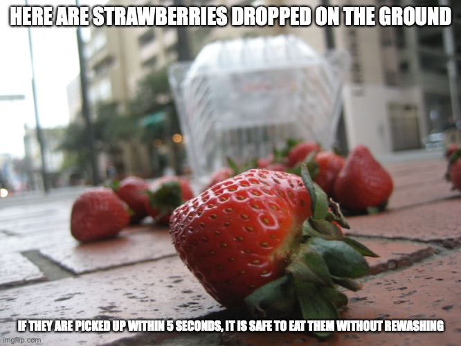Spilled Strawberries | HERE ARE STRAWBERRIES DROPPED ON THE GROUND; IF THEY ARE PICKED UP WITHIN 5 SECONDS, IT IS SAFE TO EAT THEM WITHOUT REWASHING | image tagged in strawberries,memes | made w/ Imgflip meme maker