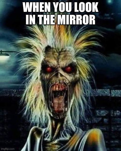iron maiden | WHEN YOU LOOK IN THE MIRROR | made w/ Imgflip meme maker