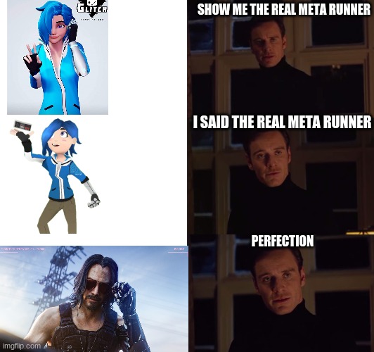 meta runner joke | SHOW ME THE REAL META RUNNER; I SAID THE REAL META RUNNER; PERFECTION | image tagged in perfection,memes | made w/ Imgflip meme maker