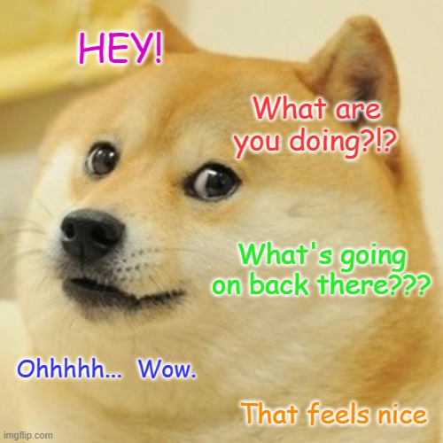 Doge Meme | HEY! What are you doing?!? What's going on back there??? Ohhhhh...  Wow. That feels nice | image tagged in memes,doge | made w/ Imgflip meme maker