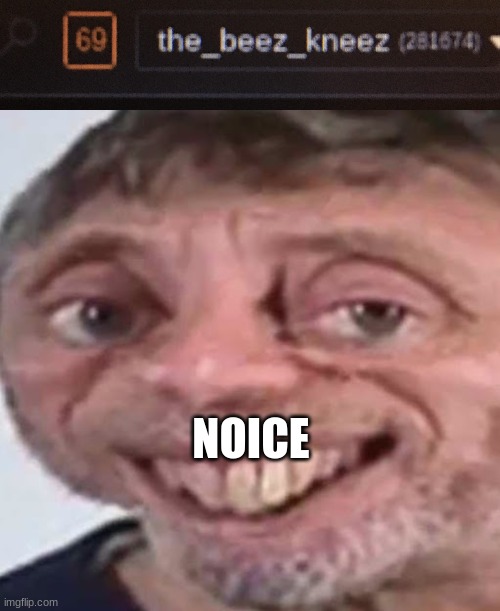 nice | NOICE | image tagged in noice | made w/ Imgflip meme maker