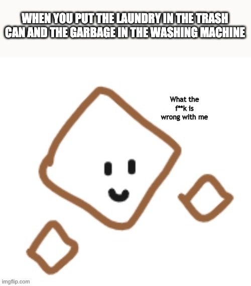 Relatable | WHEN YOU PUT THE LAUNDRY IN THE TRASH CAN AND THE GARBAGE IN THE WASHING MACHINE | image tagged in what the f k is wrong with me | made w/ Imgflip meme maker