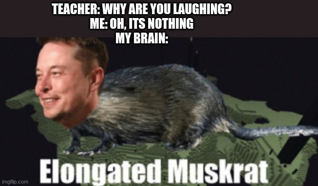 Elongated Muskrat | TEACHER: WHY ARE YOU LAUGHING?
ME: OH, ITS NOTHING
MY BRAIN: | image tagged in fun,elon musk | made w/ Imgflip meme maker