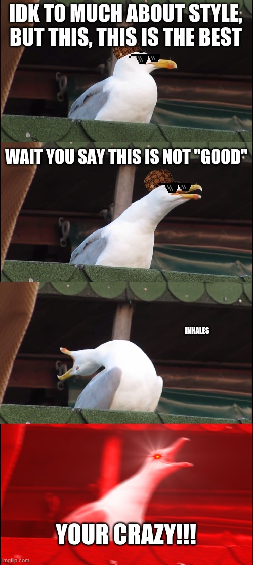Inhaling Seagull | IDK TO MUCH ABOUT STYLE, BUT THIS, THIS IS THE BEST; WAIT YOU SAY THIS IS NOT "GOOD"; INHALES; YOUR CRAZY!!! | image tagged in memes,inhaling seagull | made w/ Imgflip meme maker