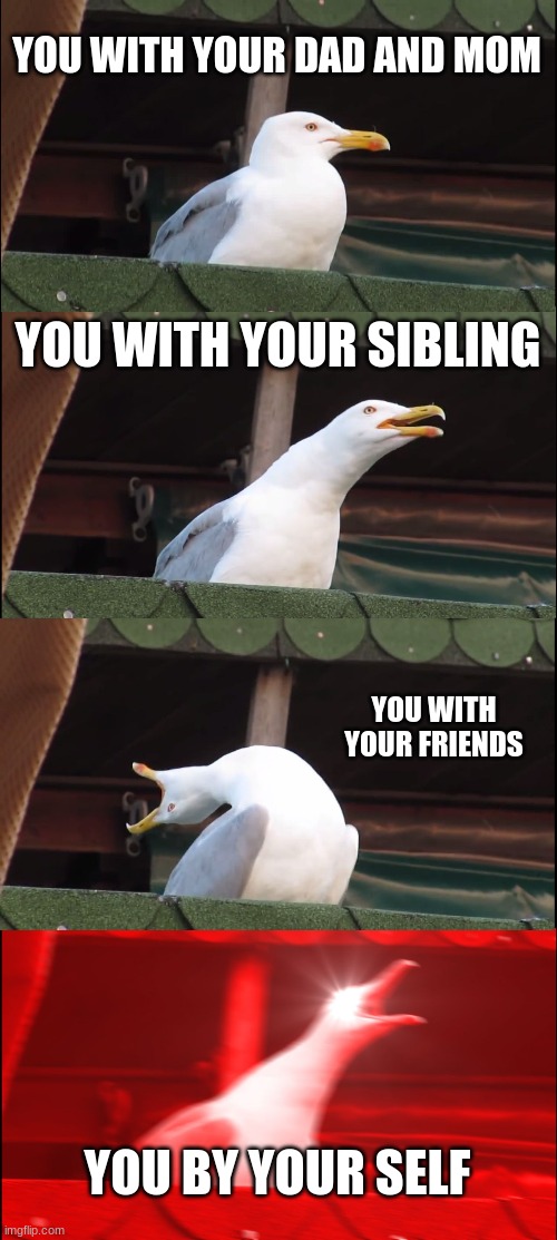 Inhaling Seagull | YOU WITH YOUR DAD AND MOM; YOU WITH YOUR SIBLING; YOU WITH YOUR FRIENDS; YOU BY YOUR SELF | image tagged in memes,inhaling seagull | made w/ Imgflip meme maker