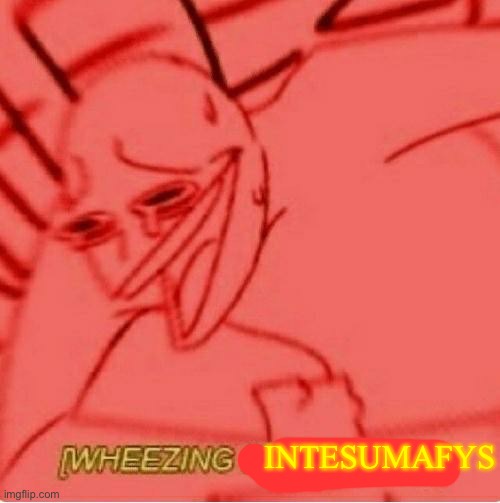 Wheeze | INTESUMAFYS | image tagged in wheeze | made w/ Imgflip meme maker