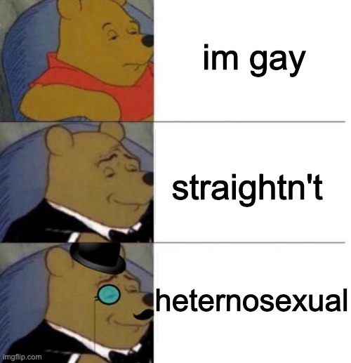 Tuxedo Winnie the Pooh (3 panel) | im gay; straightn't; heternosexual | image tagged in tuxedo winnie the pooh 3 panel | made w/ Imgflip meme maker