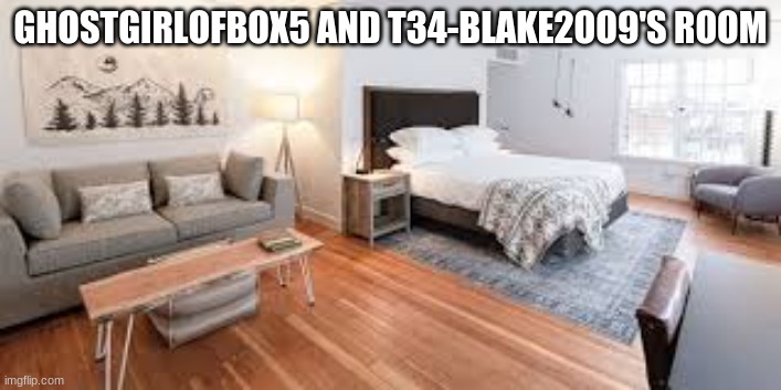 Hotel Room | GHOSTGIRLOFBOX5 AND T34-BLAKE2OO9'S ROOM | made w/ Imgflip meme maker