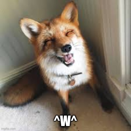 ^W^ | made w/ Imgflip meme maker