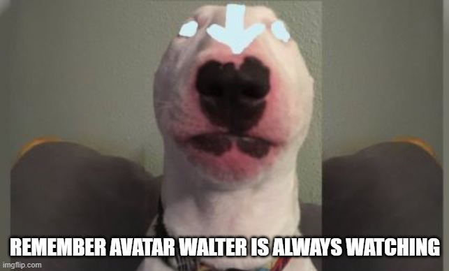 avatar walter | REMEMBER AVATAR WALTER IS ALWAYS WATCHING | image tagged in walter | made w/ Imgflip meme maker
