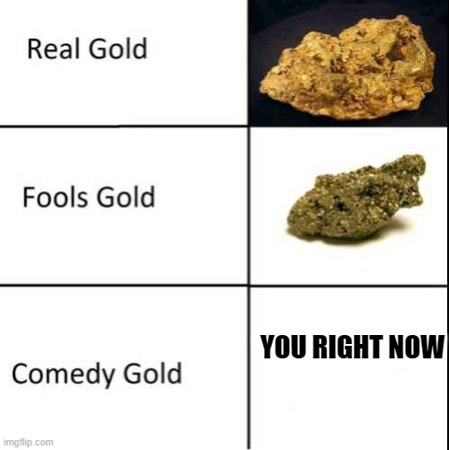 Comedy Gold | YOU RIGHT NOW | image tagged in comedy gold | made w/ Imgflip meme maker