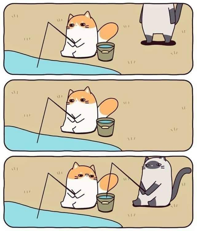 Cat fishing and stealing Blank Meme Template