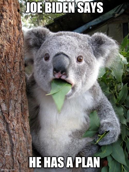 i doubt it | JOE BIDEN SAYS; HE HAS A PLAN | image tagged in memes,surprised koala | made w/ Imgflip meme maker