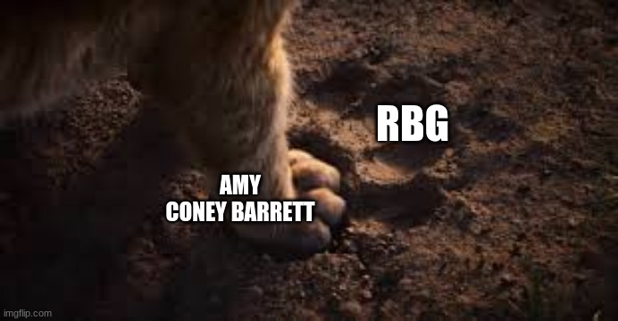 she'll never be as good as ruth | RBG; AMY CONEY BARRETT | image tagged in lion king paw | made w/ Imgflip meme maker