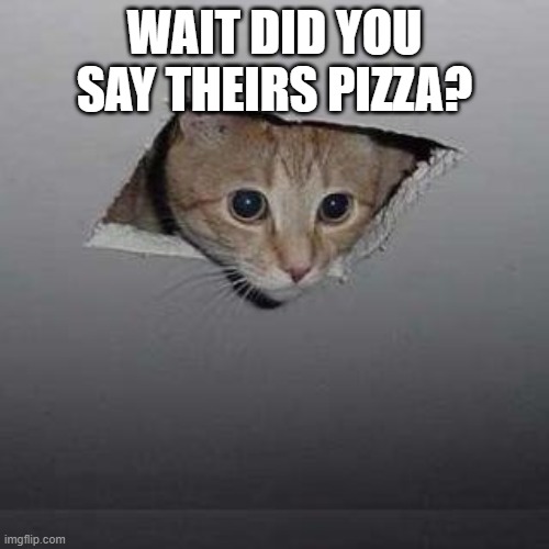 Ceiling Cat | WAIT DID YOU SAY THEIRS PIZZA? | image tagged in memes,ceiling cat | made w/ Imgflip meme maker