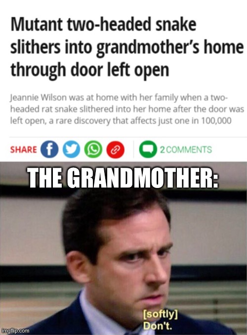 What the actual frick | THE GRANDMOTHER: | image tagged in michael scott | made w/ Imgflip meme maker