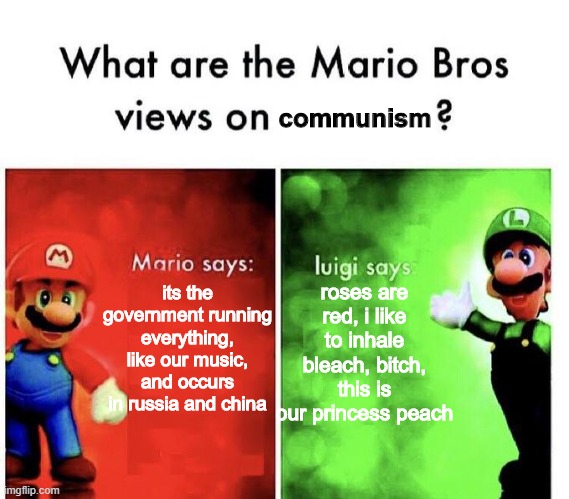 soviet luigi | communism; its the government running everything, like our music, and occurs in russia and china; roses are red, i like to inhale bleach, bitch, this is our princess peach | image tagged in mario bros views | made w/ Imgflip meme maker