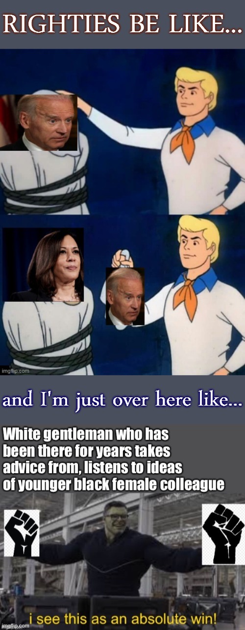 i see this as an absolute win | RIGHTIES BE LIKE... and I'm just over here like... | image tagged in vice president,kamala harris,election 2020,conservative logic,joe biden,biden | made w/ Imgflip meme maker