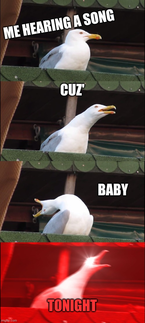 Inhaling Seagull Meme | ME HEARING A SONG; CUZ'; BABY; TONIGHT | image tagged in memes,inhaling seagull | made w/ Imgflip meme maker