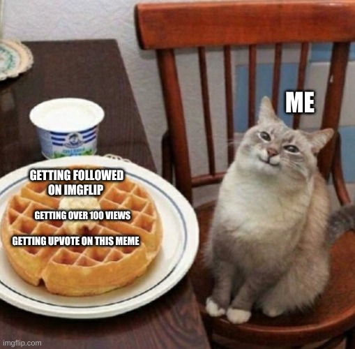 Cat likes their waffle |  ME; GETTING FOLLOWED ON IMGFLIP; GETTING OVER 100 VIEWS; GETTING UPVOTE ON THIS MEME | image tagged in cat likes their waffle | made w/ Imgflip meme maker