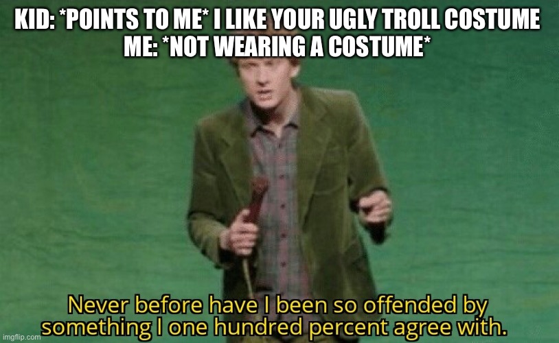 Never before have I been so offended by something I one hundred | KID: *POINTS TO ME* I LIKE YOUR UGLY TROLL COSTUME 
ME: *NOT WEARING A COSTUME* | image tagged in never before have i been so offended by something i one hundred | made w/ Imgflip meme maker