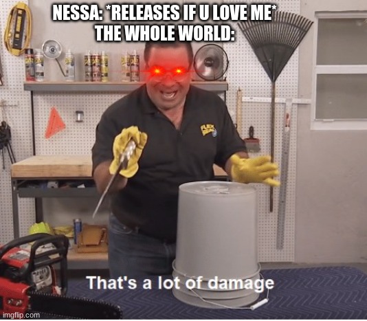 Nessa Barrett's if u love me | NESSA: *RELEASES IF U LOVE ME*
THE WHOLE WORLD: | image tagged in thats alot of damage | made w/ Imgflip meme maker