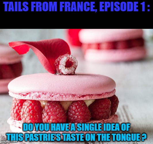 A new meme serie : tales from France | TAILS FROM FRANCE, EPISODE 1 :; DO YOU HAVE A SINGLE IDEA OF THIS PASTRIE'S TASTE ON THE TONGUE ? | image tagged in memes,tales from france,pastrie,macaron | made w/ Imgflip meme maker