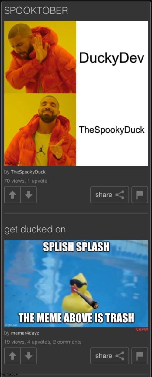 Why bro | image tagged in duck,bruh,bruhh,certified bruh moment | made w/ Imgflip meme maker
