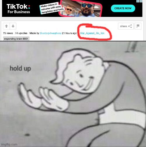 Who the hell- | image tagged in fallout hold up,wtf,how dare you,tiktok sucks | made w/ Imgflip meme maker