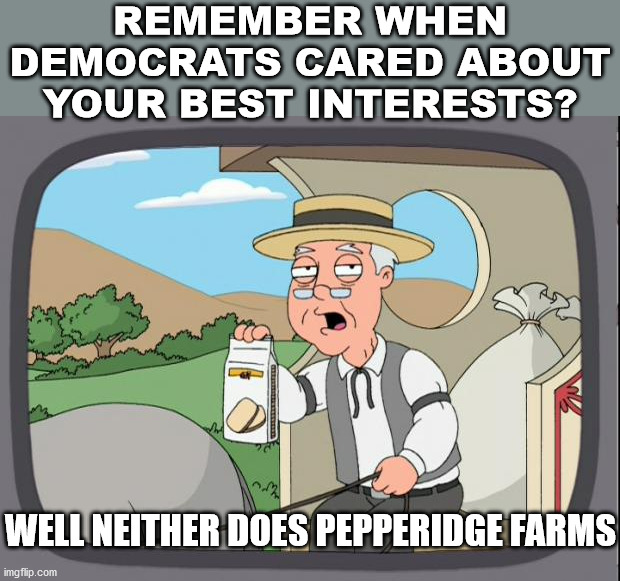Court pack, higher taxes, socialist ideas and many more bad ideas. | REMEMBER WHEN DEMOCRATS CARED ABOUT YOUR BEST INTERESTS? WELL NEITHER DOES PEPPERIDGE FARMS | image tagged in pepperidge farms,democrats,democratic socialism | made w/ Imgflip meme maker