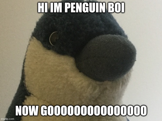 Penguin boi | HI IM PENGUIN BOI; NOW GOOOOOOOOOOOOOOO | image tagged in penguin boi | made w/ Imgflip meme maker