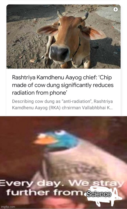 Why why | Science | image tagged in every day we stray further from god,cow | made w/ Imgflip meme maker