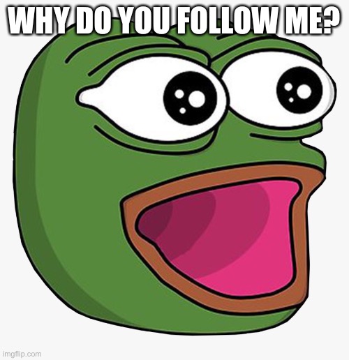 WHY DO YOU FOLLOW ME? | made w/ Imgflip meme maker
