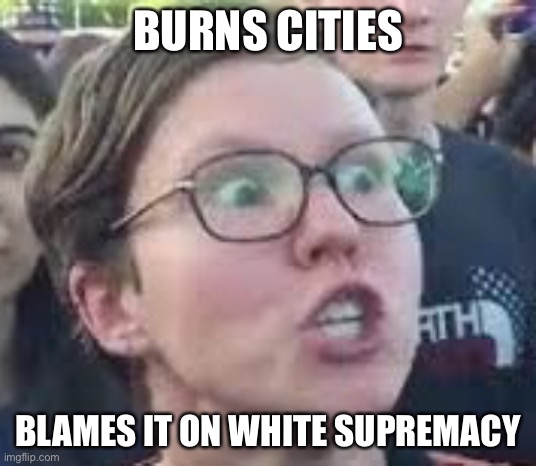 SJW | BURNS CITIES BLAMES IT ON WHITE SUPREMACY | image tagged in sjw | made w/ Imgflip meme maker