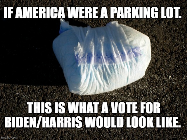 If America were a parking lot. | IF AMERICA WERE A PARKING LOT. THIS IS WHAT A VOTE FOR BIDEN/HARRIS WOULD LOOK LIKE. | image tagged in joe biden,political meme,donald trump,kamala harris | made w/ Imgflip meme maker