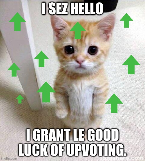 This Cute cat grants a good luck of upvoting. | I SEZ HELLO; I GRANT LE GOOD LUCK OF UPVOTING. | image tagged in memes,cute cat | made w/ Imgflip meme maker