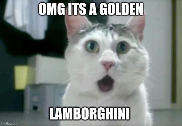 OMG Cat | OMG ITS A GOLDEN; LAMBORGHINI | image tagged in memes,omg cat | made w/ Imgflip meme maker