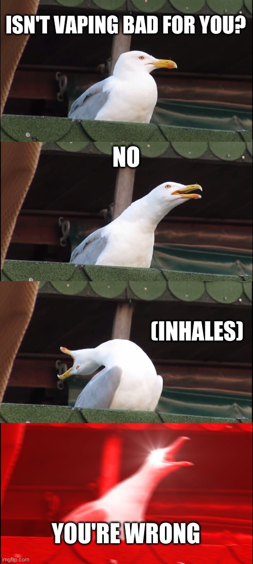 Inhaling Seagull | ISN'T VAPING BAD FOR YOU? NO; (INHALES); YOU'RE WRONG | image tagged in memes,inhaling seagull | made w/ Imgflip meme maker