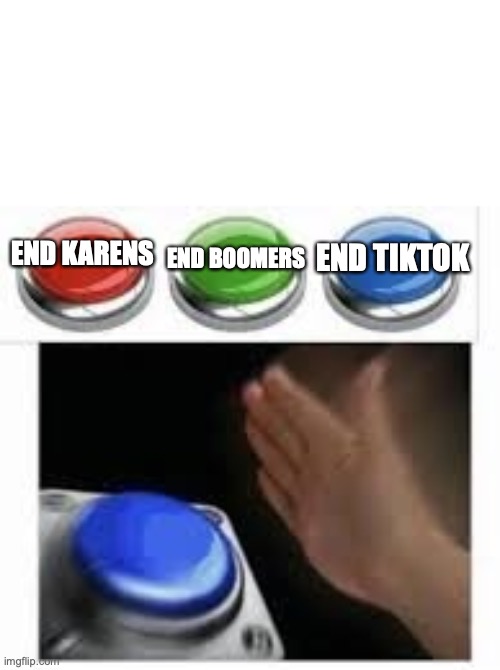 TikTok Bad | END BOOMERS; END KARENS; END TIKTOK | image tagged in blank nut button with 3 buttons above | made w/ Imgflip meme maker
