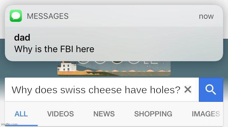 Why is the FBI here? | Why does swiss cheese have holes? | image tagged in dad why is the fbi here,cheese,google | made w/ Imgflip meme maker