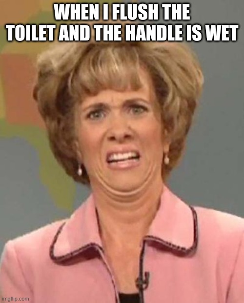 Not fun | WHEN I FLUSH THE TOILET AND THE HANDLE IS WET | image tagged in disgusted kristin wiig | made w/ Imgflip meme maker
