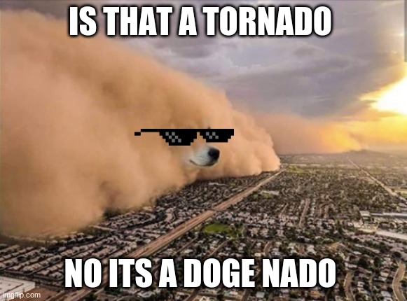 Dust Doge Storm | IS THAT A TORNADO; NO ITS A DOGE NADO | image tagged in dust doge storm | made w/ Imgflip meme maker