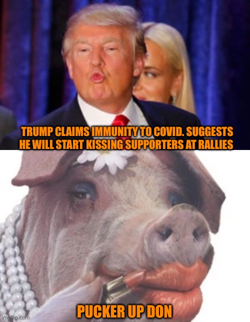 TRUMP CLAIMS IMMUNITY TO COVID. SUGGESTS HE WILL START KISSING SUPPORTERS AT RALLIES; PUCKER UP DON | made w/ Imgflip meme maker