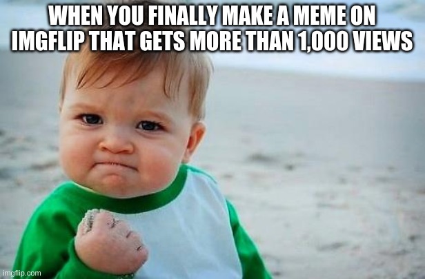 1000 Views | WHEN YOU FINALLY MAKE A MEME ON IMGFLIP THAT GETS MORE THAN 1,000 VIEWS | image tagged in victory baby | made w/ Imgflip meme maker