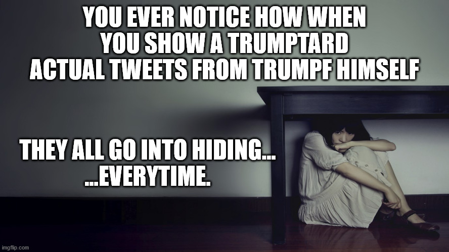YOU EVER NOTICE HOW WHEN YOU SHOW A TRUMPTARD ACTUAL TWEETS FROM TRUMPF HIMSELF THEY ALL GO INTO HIDING...

...EVERYTIME. | made w/ Imgflip meme maker