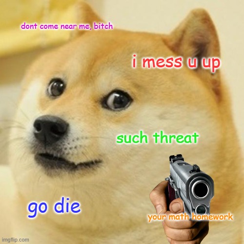 Doge | dont come near me, bitch; i mess u up; such threat; go die; your math homework | image tagged in memes,doge | made w/ Imgflip meme maker