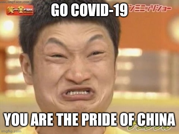Covidiot logic | GO COVID-19; YOU ARE THE PRIDE OF CHINA | image tagged in chinese | made w/ Imgflip meme maker