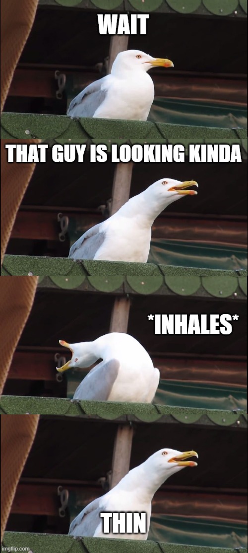 thin | WAIT; THAT GUY IS LOOKING KINDA; *INHALES*; THIN | image tagged in memes,inhaling seagull | made w/ Imgflip meme maker
